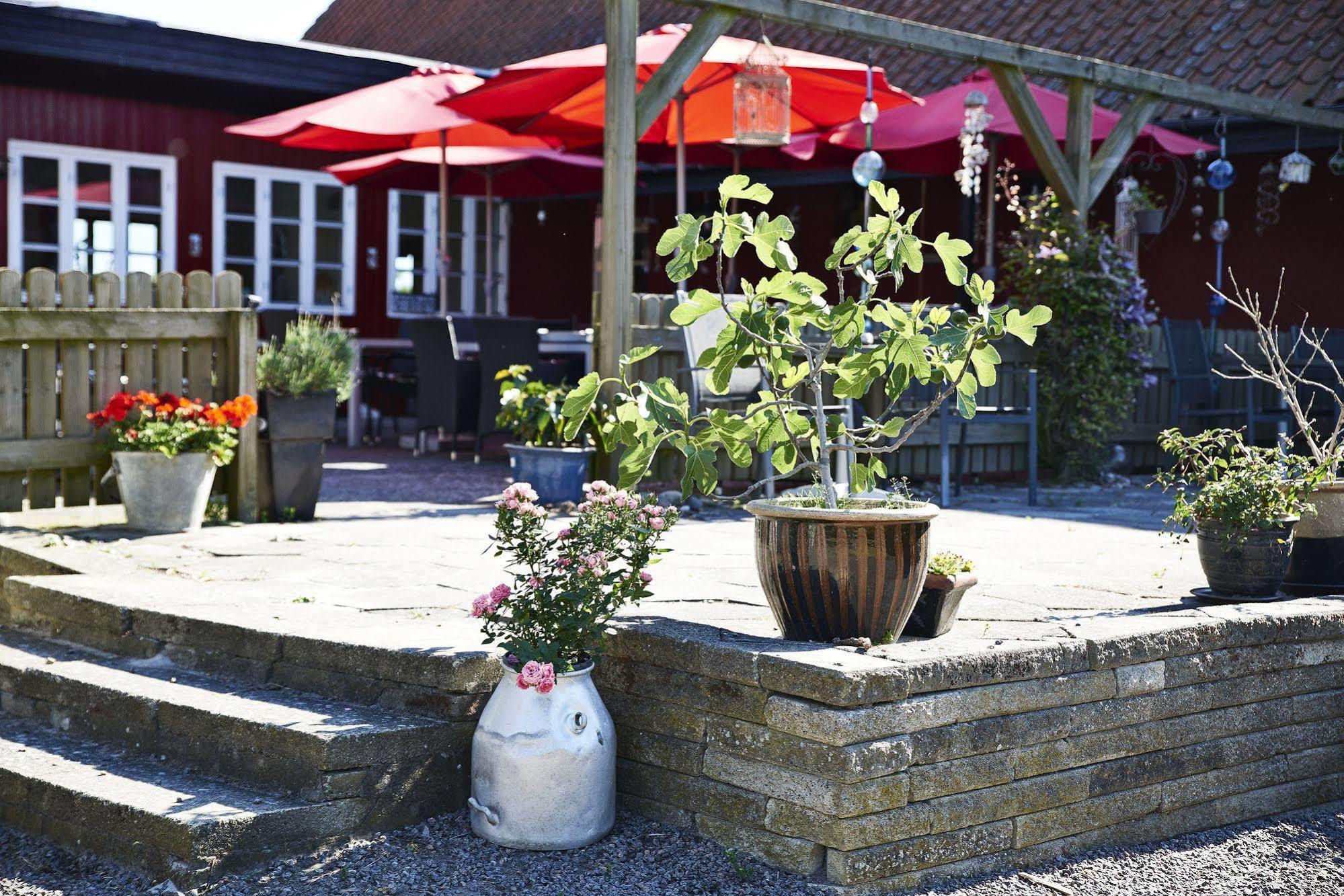 Rosengaarden Hostel Boderne Buitenkant foto
